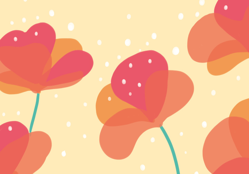  Imatge de flors